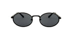 Sunglasses 55016